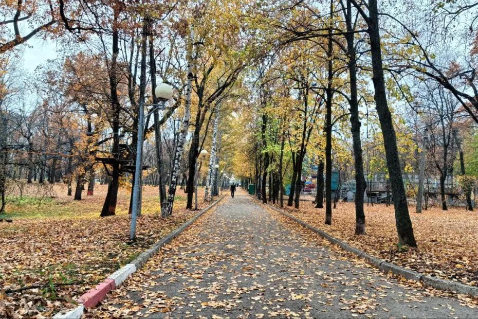 В Самарской области 26 октября будет солнечно