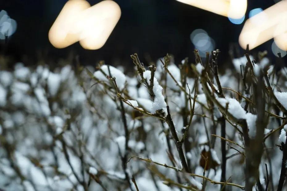 В Самарской области 2 ноября похолодает до -9 &deg;C и выпадет мокрый снег