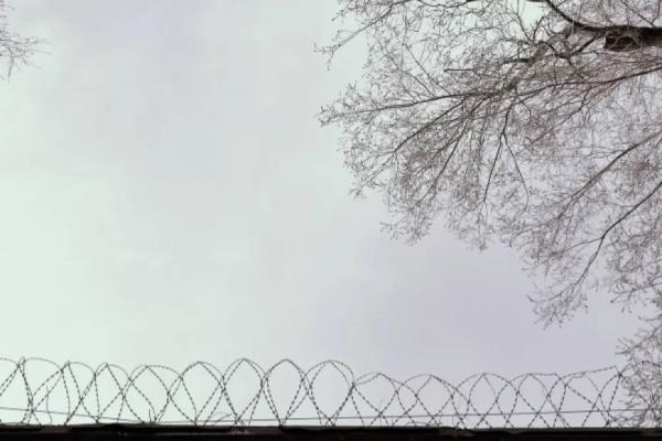 В Тольятти участнику банды дали срок за попытку продать наркотики