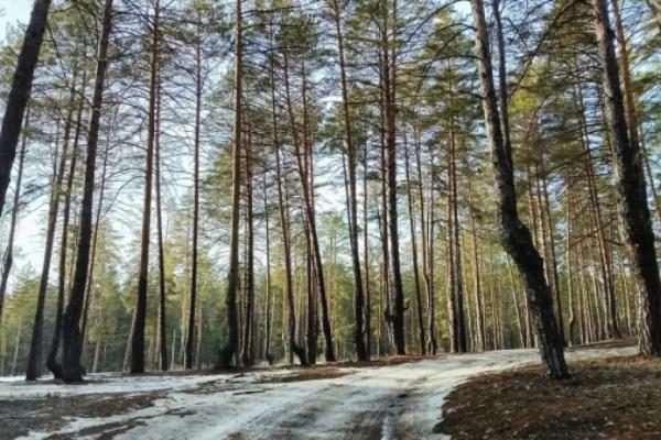 Самарскую область на этой неделе ждут температурные качели