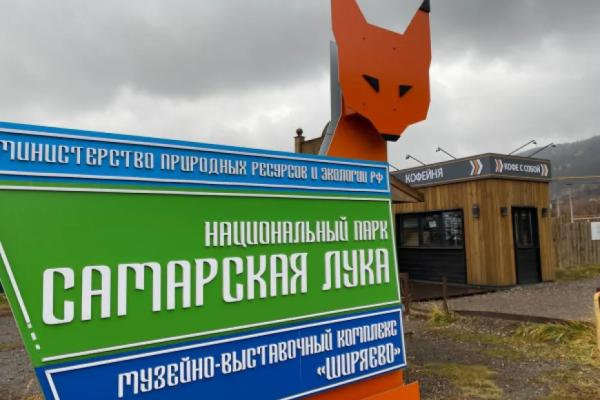 В Самарской области в гнезде под крышей Дома лисы появились бельчата