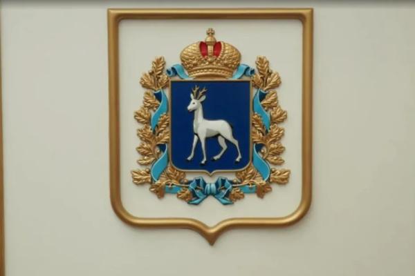 В Самарской области назовут победителей регионального конкурса грантов для социальных проектов СОНКО