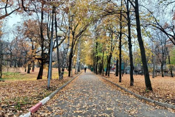 В Самарской области 26 октября будет солнечно