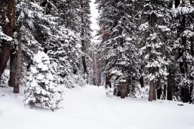 2 января в Самарской области ожидается снегопад