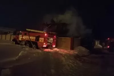 Пенсионерка и ее сын погибли при пожаре в частном доме в Самарской области