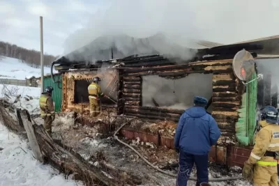 Стали известны подробности пожара в Самарской области, где погибла семейная пара с ребенком