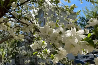 Стало известно, когда в Самарской области температура поднимется выше +10 °C