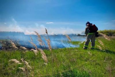 24 апреля в Самарской области загорелась сухая трава на площади 500 кв. м