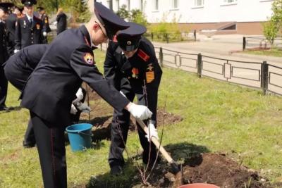 Аллея яблонь появилась в Самарском кадетском корпусе