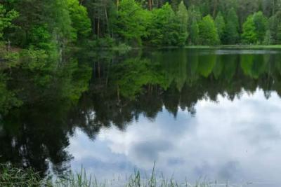 В Роспотребнадзоре рассказали, как выбрать водоем для купания