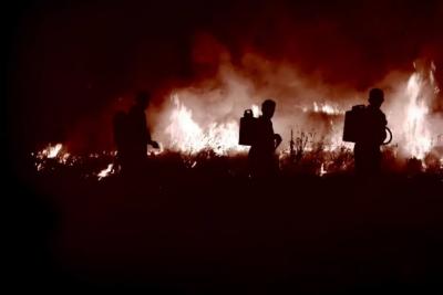 В Самарской области 4 июля горел сухостой