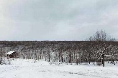 В Самарской области 26 января сохранится пасмурная погода