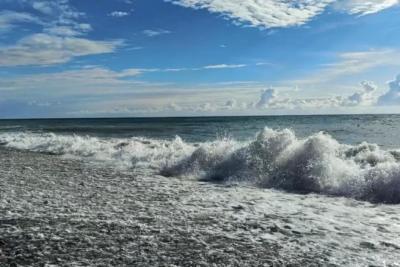 Волонтеры очистили от мазута 215 километров берега у Черного моря в Крыму