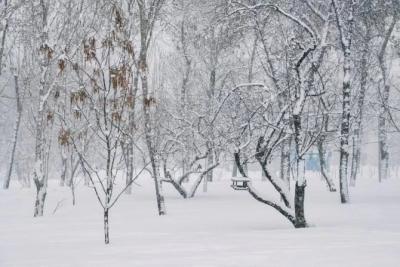 Погода на 24 февраля 2025 года: народные приметы и прогноз синоптиков