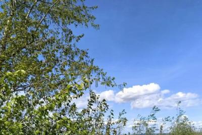 В Самарской области 4 мая потеплеет до 21°С
