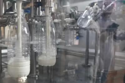 Стало известно, в чем польза молока для здоровья