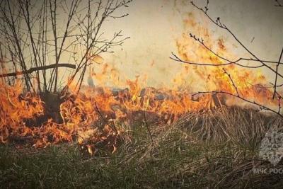 В Самарской области 3 июня вспыхнула сухая трава на 100 «квадратах» - появились подробности