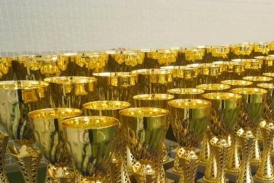 Синхронистки из Самарской области завоевали медали на всероссийских соревнованиях