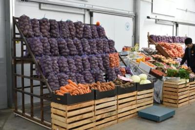В Самарской области остановили ввоз в страну 236 партий небезопасной продукции - появились подробности