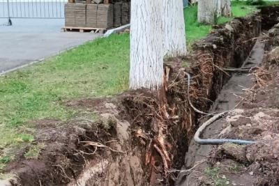 Самарцы обеспокоились судьбой деревьев в парке Победы