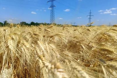Народные приметы на 17 июля 2025 года: что нельзя делать в этот день