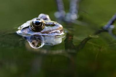 Погода на 1 августа 2025 года: народные приметы и прогноз синоптиков