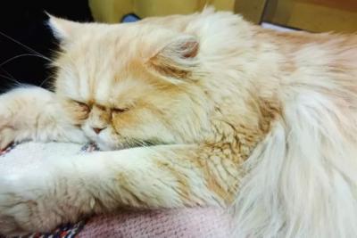 Погода на 8 августа 2025 года: народные приметы и прогноз синоптиков