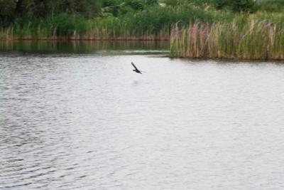 Народные приметы на 29 августа 2025 года: что нельзя делать в этот день