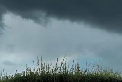 В Самарской области 2 сентября ожидается гроза, шквалистый ветер и жара
