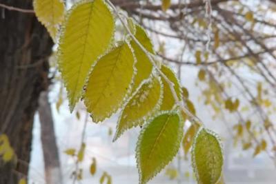 Погода на 5 сентября 2025 года: народные приметы и прогноз синоптиков