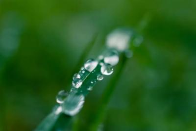 Погода на 6 сентября 2025 года: народные приметы и прогноз синоптиков