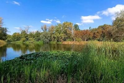 В Самаре 8 сентября будет тепло