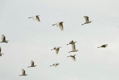 Погода на 9 сентября 2025 года: народные приметы и прогноз синоптиков