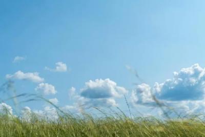 В Самарской области с 9 по 12 сентября ожидаются сильные перепады температур