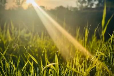 В Самарской области 9 сентября будет солнечно