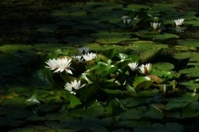 Погода на 11 сентября 2025 года: народные приметы и прогноз синоптиков