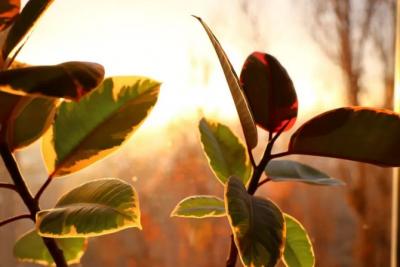 В Самарскую область придет бабье лето в конце сентября