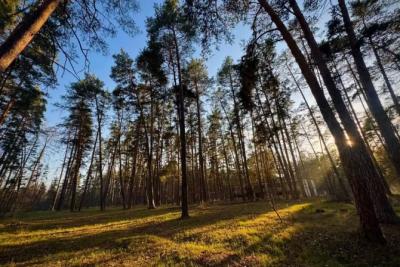 Погода на 19 сентября 2025 года: народные приметы и прогноз синоптиков