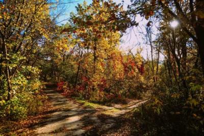 В Самарской области ожидается летнее повышение температуры