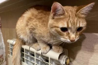 Стало известно, когда в домах самарцев включат отопление