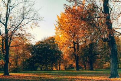 День осеннего равноденствия: какие праздники отмечают 22 сентября