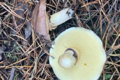 Погода на 24 сентября 2025 года: народные приметы и прогноз синоптиков