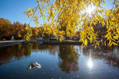 Погода на 25 сентября 2025 года: народные приметы и прогноз синоптиков