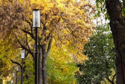 В Самарской области появилась новая набережная