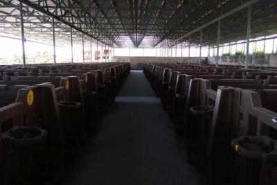 Напало животное: жительнице Самарской области выплатят компенсацию за травмы на работе