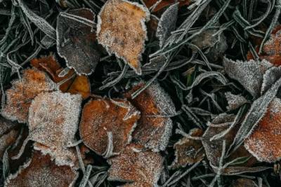 Заморозки и дождь: какая погода будет в Самарской области 27 сентября