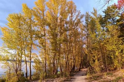 В Самарской области 29 сентября будет солнечно, но прохладно