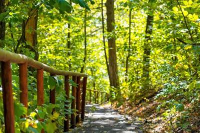 Информация об экотропах Самарской области теперь на национальном туристическом портале