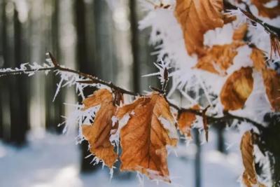 Погода на 6 октября 2025 года: народные приметы и прогноз синоптиков