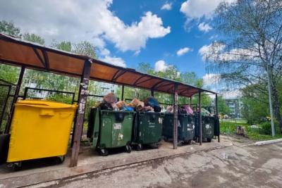 В Самарской области увеличились штрафы за создание препятствий в работе мусоровозов